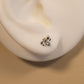 Silver Bee Stud