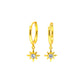 Aurora Hoop Earrings