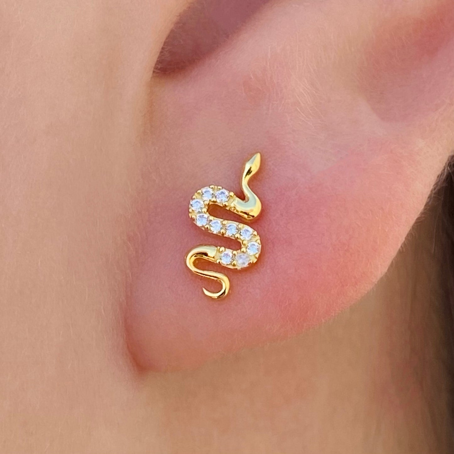 Snake Stud Earrings